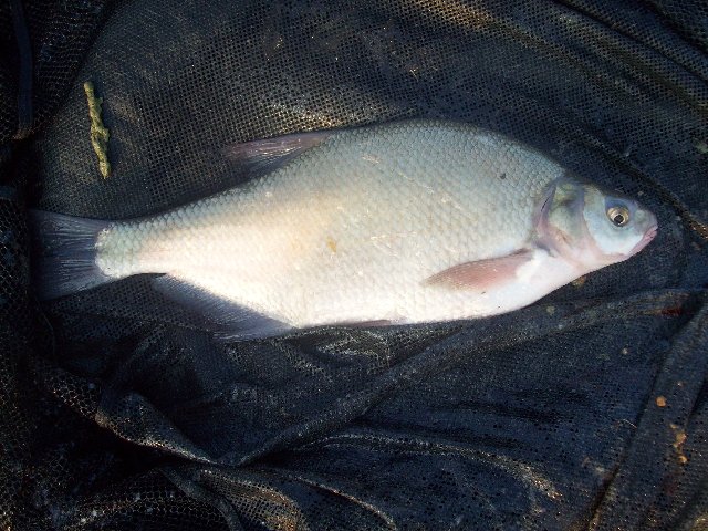 100_2487.JPG