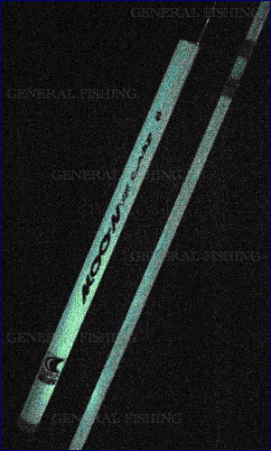 FBS-CAMO39_p2.jpg