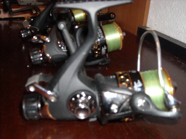 gall 034.jpg