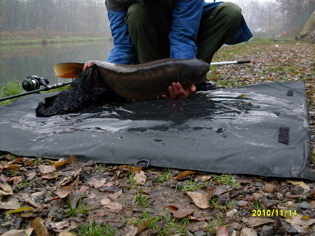 SDC10613.JPG
