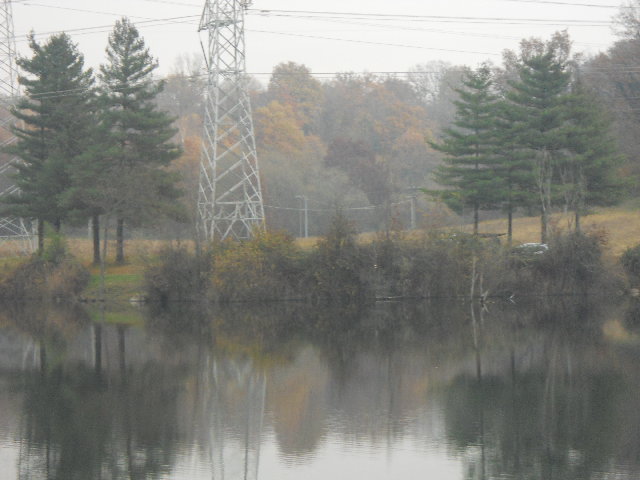 DSCN0486.JPG
