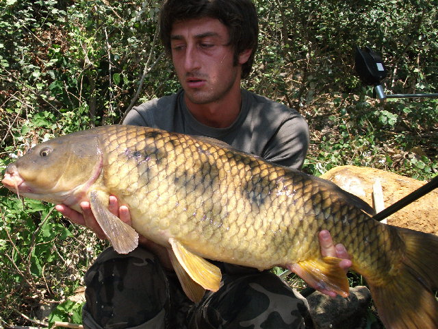 fabio 108.jpg