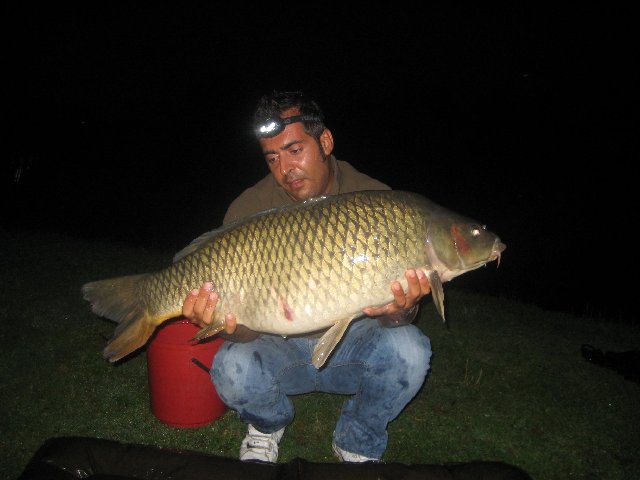 Pianeta Verde 26-28 giugno 009.jpg