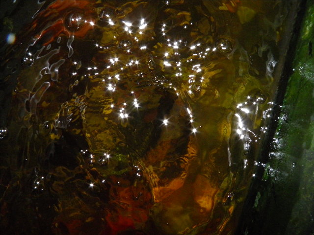 PC070010.JPG