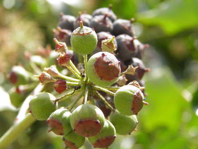 PC070017.JPG