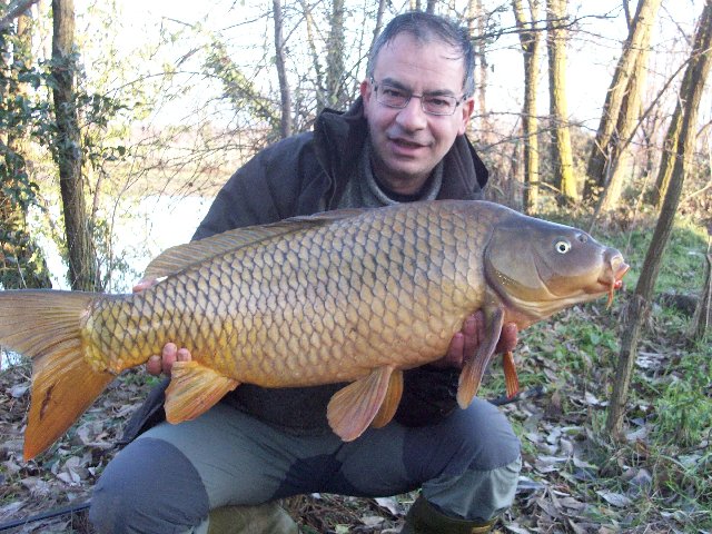carpa grossa.JPG