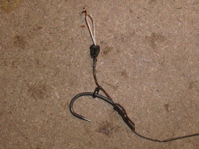 HPIM0596.JPG