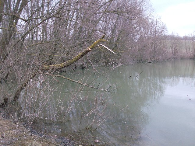 spot1.JPG