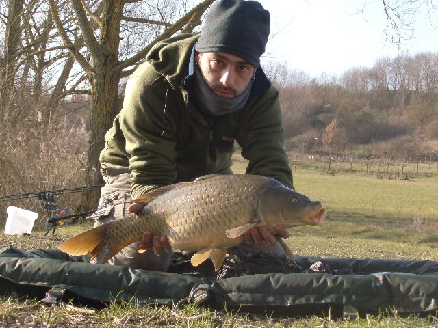 carpa.JPG
