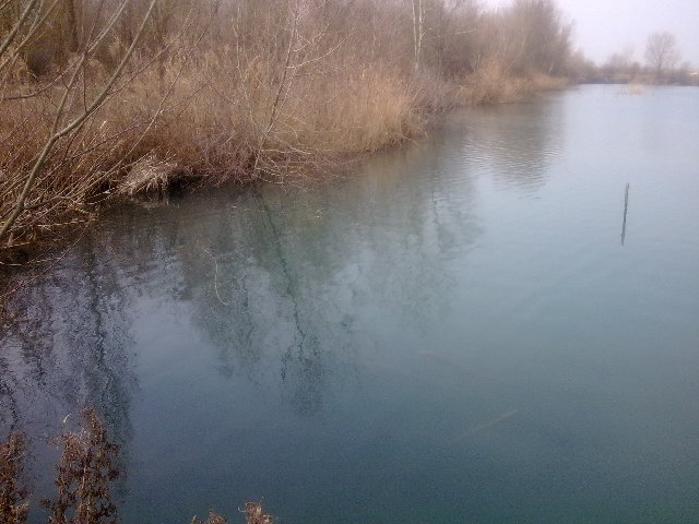 22022011605.jpg