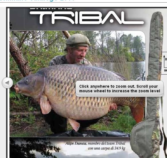 Catalogo shimano pag.161.JPG