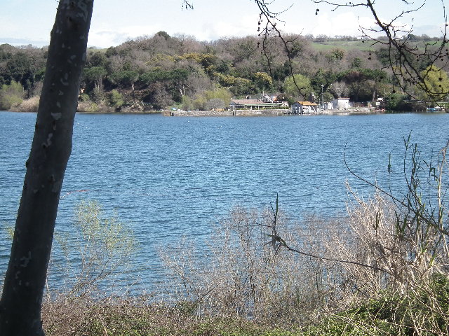 DSCF0283.JPG