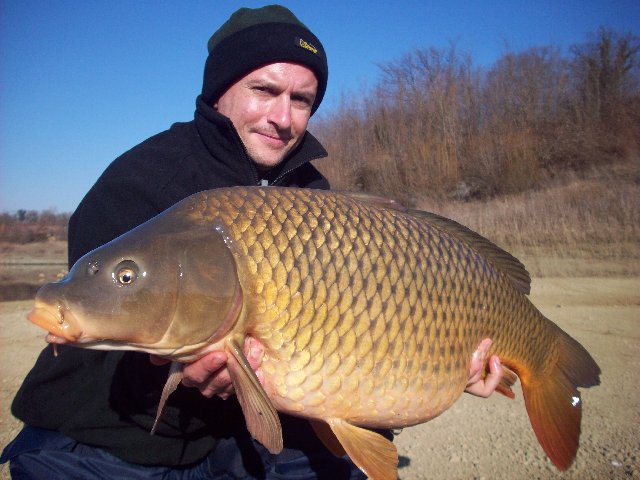 pesce1.JPG