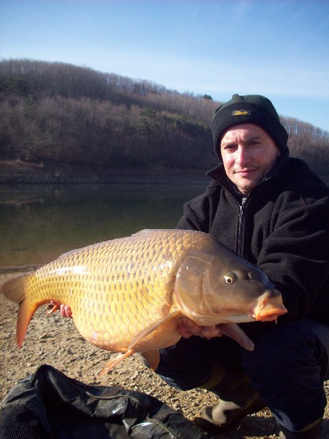 pesce2.JPG