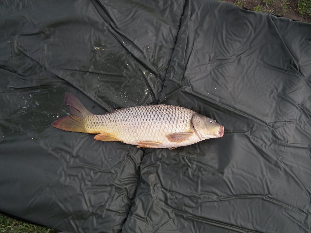 DSCF0293.JPG