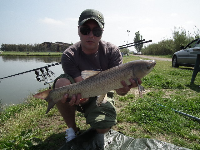 DSCF0309.JPG