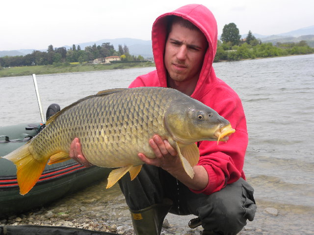 DSCN5777.jpg