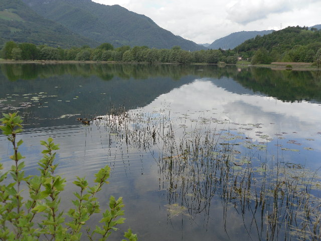 SAM_0256.JPG