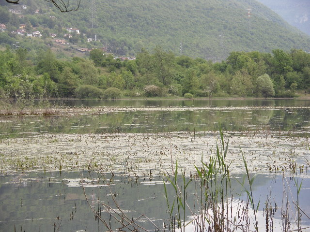 SAM_0258.JPG