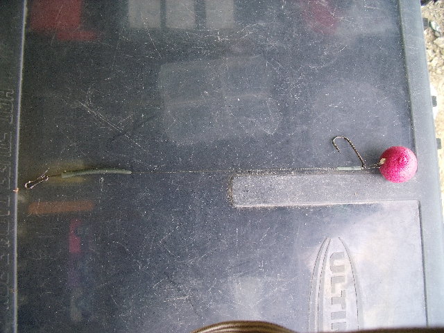 DSCF3686.JPG