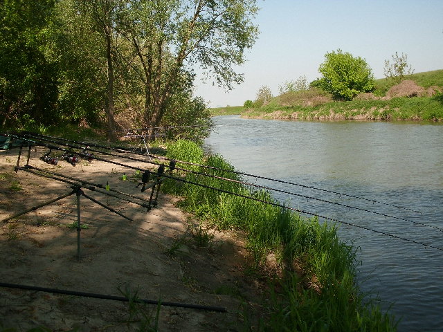 CIMG0278.JPG