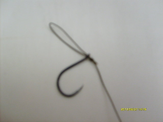 S6300376.JPG