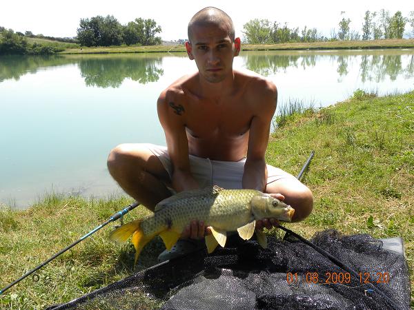 carpa.JPG