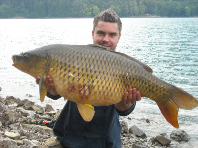 pcf6.jpg