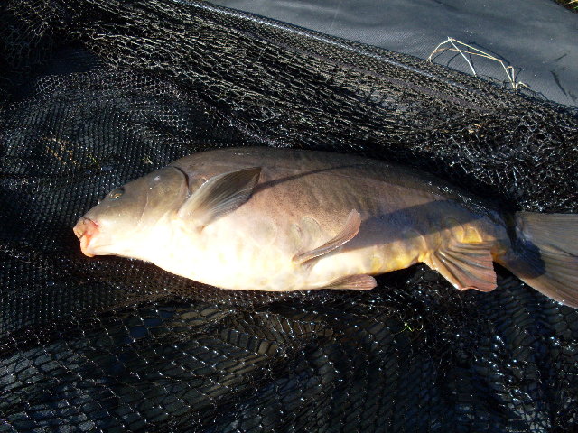SDC10732.JPG