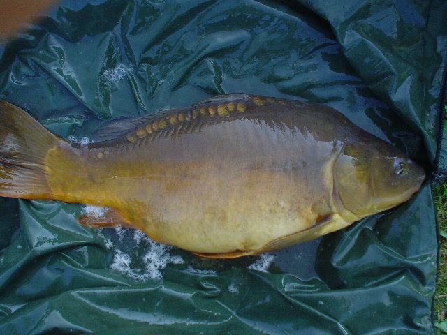 Immagine 037.jpg