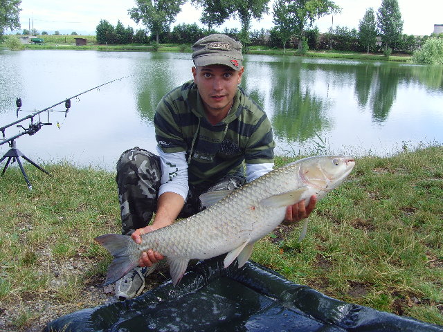 SNV30714.JPG