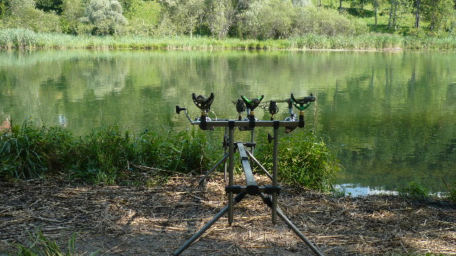 P1010187.JPG