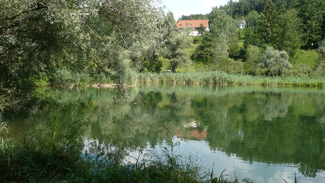 P1010191.JPG