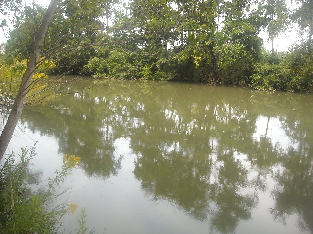 070.JPG