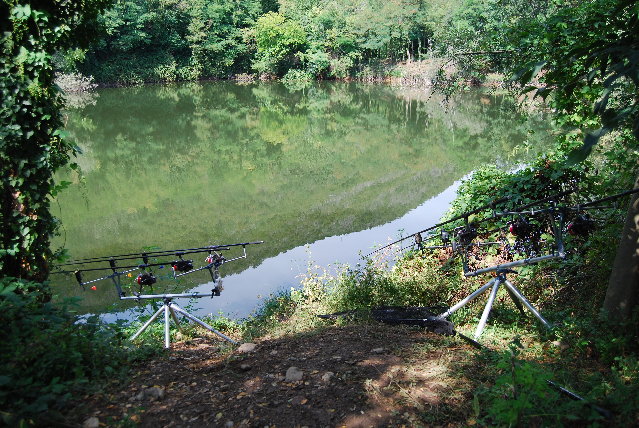 DSC_3638.JPG