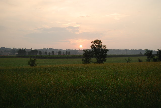 DSC_3668.JPG