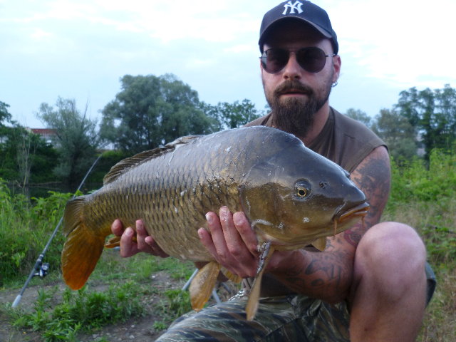 P1010101.JPG (2 MiB) Visto 3751 volte P1010101.JPG