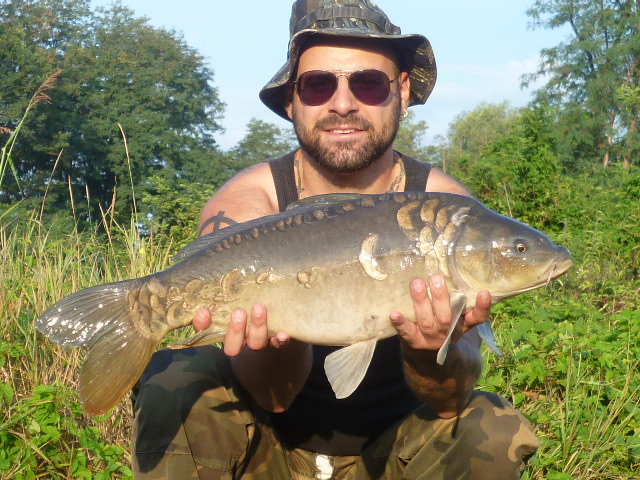 P1010139.JPG (156.8 KiB) Visto 3748 volte P1010139.JPG