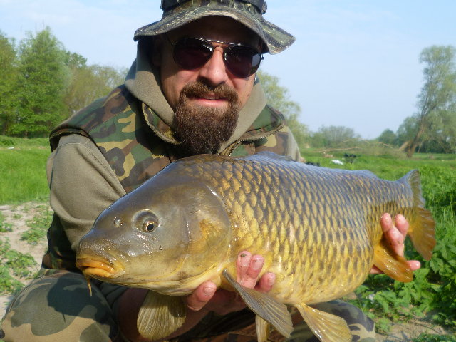 P1010067.JPG (2.07 MiB) Visto 3748 volte P1010067.JPG