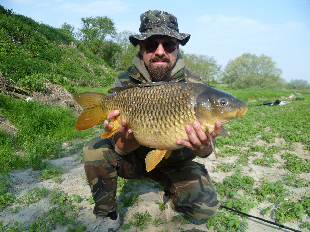 P1010061.JPG (4.74 MiB) Visto 3759 volte P1010061.JPG