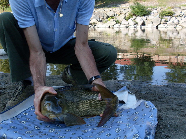 SDC10753.JPG
