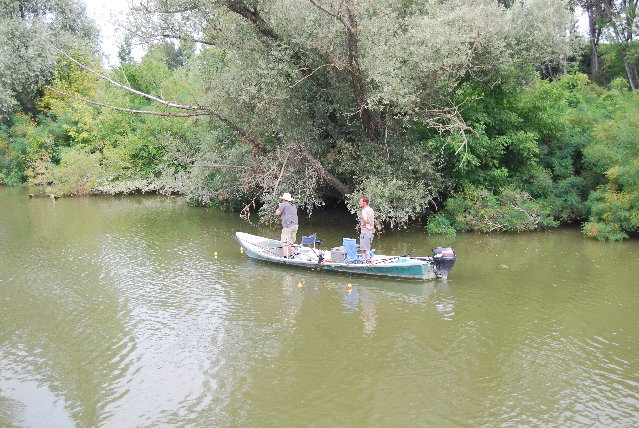 DSC_3749.JPG