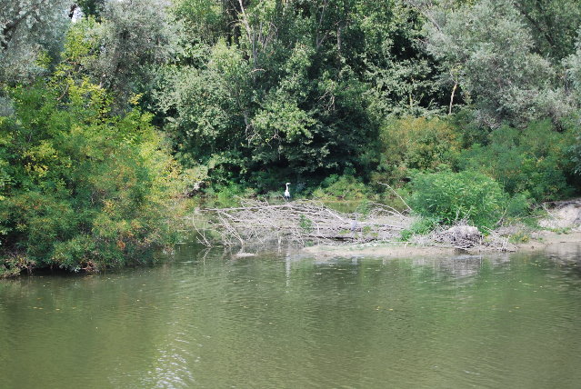 DSC_3823.JPG
