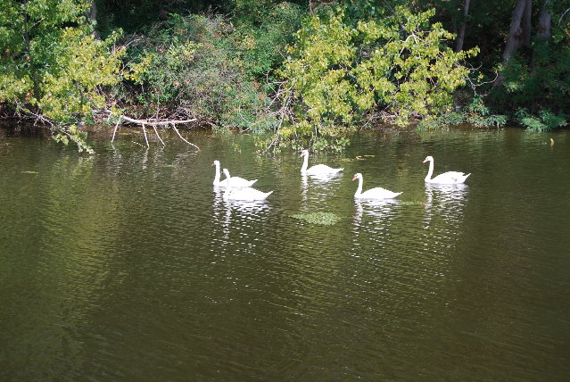 DSC_3831.JPG
