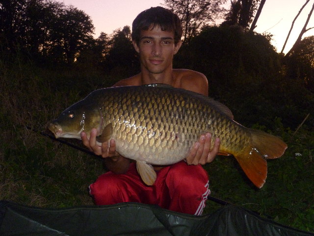 P1010185.JPG (4.73 MiB) Visto 3918 volte P1010185.JPG