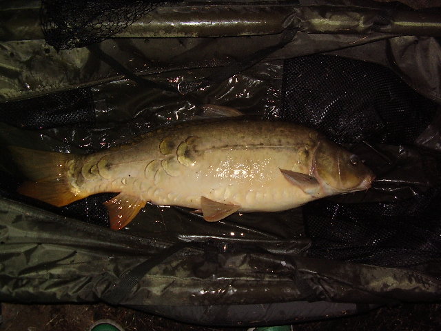 P2210204.JPG