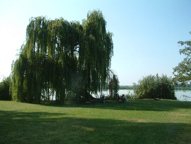 DSCF0022.JPG