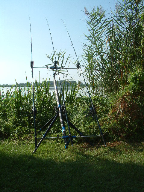 DSCF0029.JPG