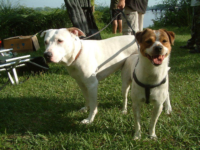 DSCF0067.JPG