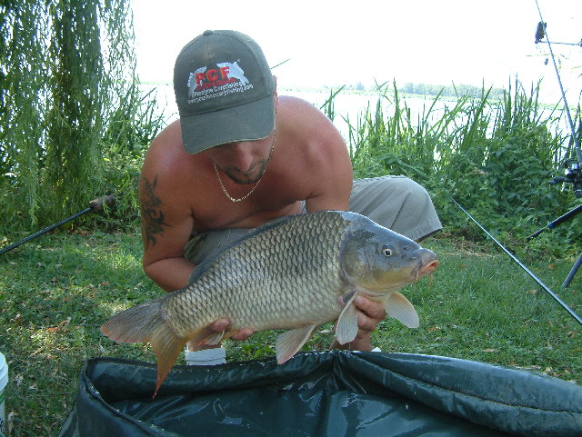 DSCF0116.JPG
